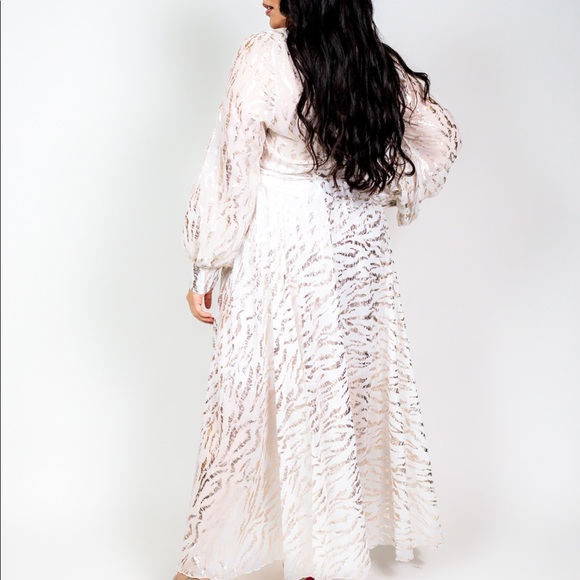 Plus Size ‘Isabella’ Chiffon Metallic Maxi Dress - Picture 5 of 6